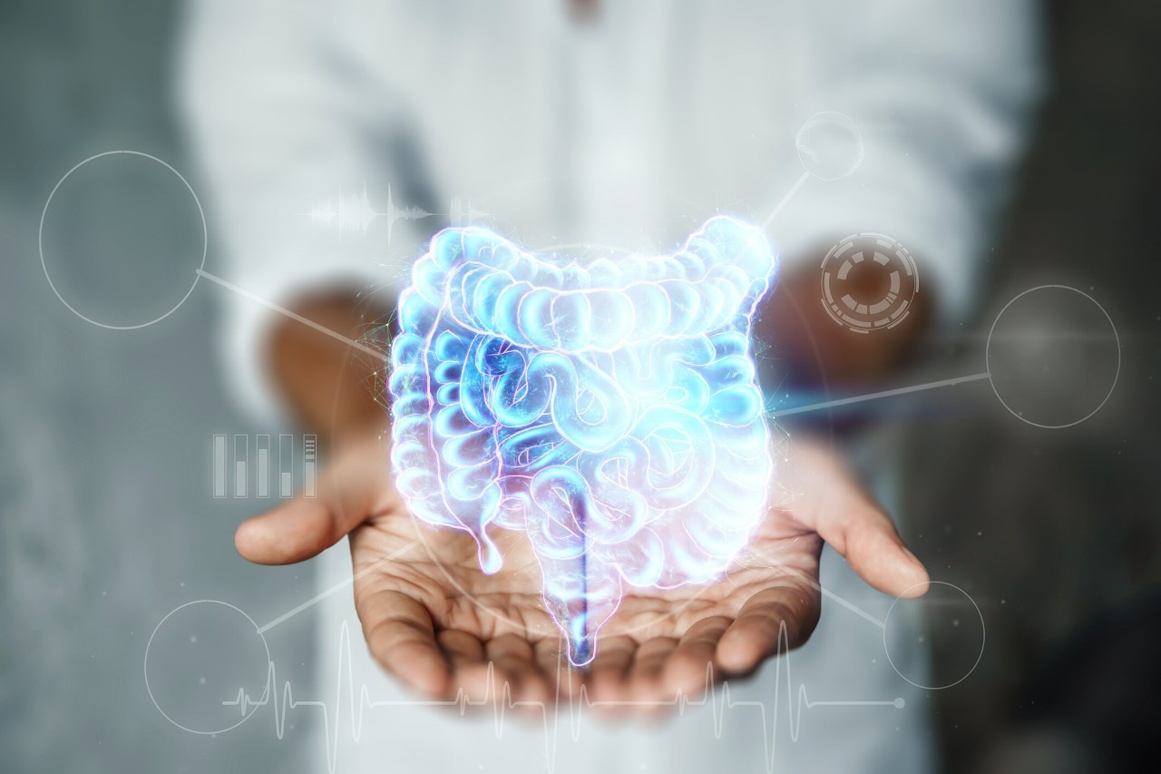 Digestive health